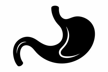 stomach silhouette line art vector illustration with a white background