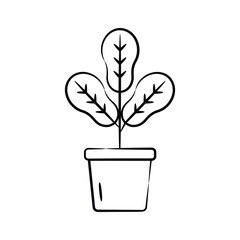 Here is a premium doodle style icon of maranta plant