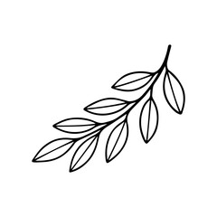 Vector laurel branch. Sketch branch Isolated background
