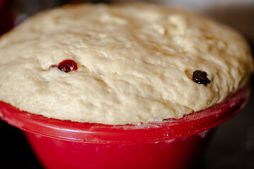 Soft, airy, and perfectly risen live yeast dough, ready for baking delicious pastries, buns, or bread. Gently fermented, full of tiny bubbles with raisins for baking easter bread in Ukraine