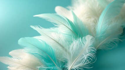 Obraz premium Delicate Teal and White Feathers on a Light Blue Background, a Soft and Airy Aesthetic.