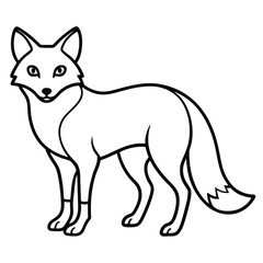 Obraz premium Simple Line Drawing of a Standing Fox Illustration