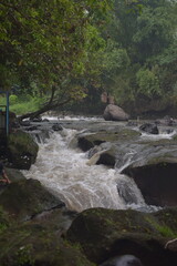 Waterfall cascading into a river in a lush green landscape