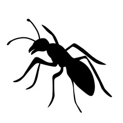 Ant Vector silhouette
