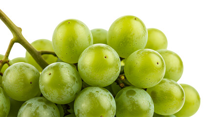 Obraz premium bunch of green grapes
