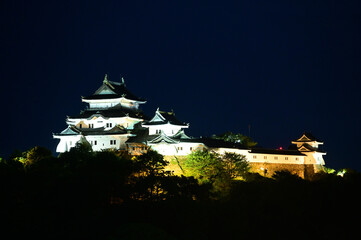 ライトアップされた和歌山城