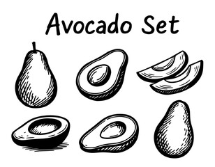 Avocado, Hand drawn sketch, sliced avocado, whole and in pieces. Vector food packaging design
