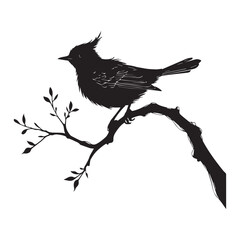 black silhouette of a Bird Sitting on a Branch side view isolated, illustration