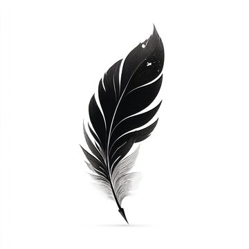 Solitary avian plume floating against an immaculate white canvas simplicity