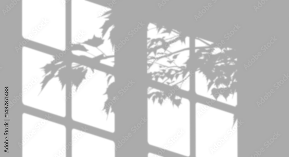 Poster shadow serenity leafs and window frame isolated on transparent backgrounds 3d illustrations png