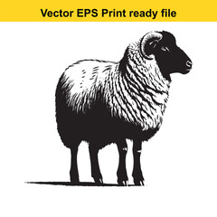 Valais Blacknose Sheep Vector Art | Swiss Alpine Fluffy Sheep | Cute Farm Animal Clipart