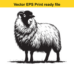 Valais Blacknose Sheep Vector Art | Swiss Alpine Fluffy Sheep | Cute Farm Animal Clipart