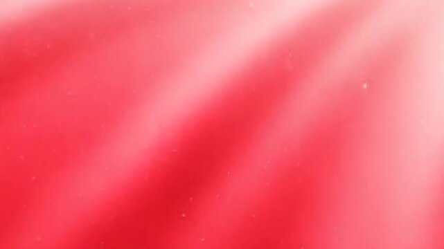 Red pink flying sand particles seamless backdrop. Wind in the sandy desert design. Storm in the dunes motion animation. Sahara desert background loop.