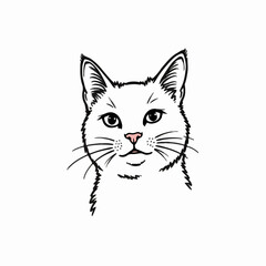 Domestic cat illustration, black and white, pet portrait, for websites
