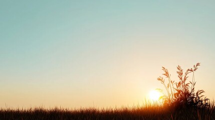 Obraz premium A rising sun with rays in hepatitis awareness colors (red, gold, blue) over a horizon line. Simplified landscape with 70% white space on the right.