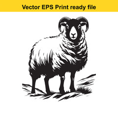 Valais Blacknose Sheep Vector Art | Swiss Alpine Fluffy Sheep | Cute Farm Animal Clipart
