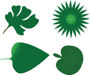 vector set of green leaves