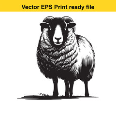 Valais Blacknose Sheep Vector Art | Swiss Alpine Fluffy Sheep | Cute Farm Animal Clipart