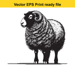 Valais Blacknose Sheep Vector Art | Swiss Alpine Fluffy Sheep | Cute Farm Animal Clipart