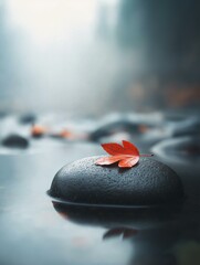 Close-up of a single red leaf resting on top of a black rock. the leaf is placed on the surface of the rock, which is reflected in the water below.