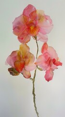 Vibrant Pink and Orange Orchid Flowers Painting