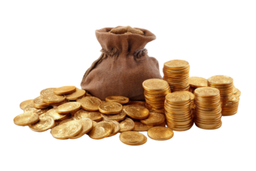 Treasure hunt indoor gold coins