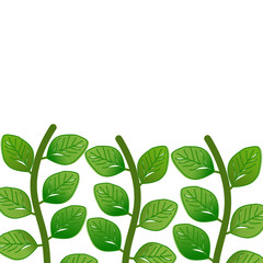 Green Leaf Border Vector on White Background, Fresh Green Leaves Frame Design, Shiny Botanical Vines Vector Illustration