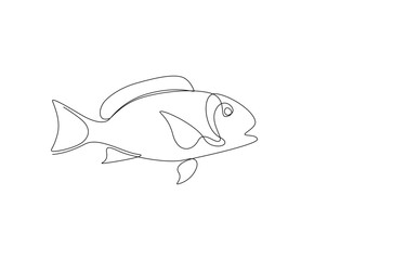 Red Snapper Fish one Continuous line drawing, threatened fish from the Atlantic Ocean