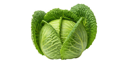 Obraz premium Savoy Cabbage Stands Out with Fresh Green Leaves on Transparent Background, Isolated