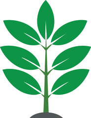 green tree with leaves