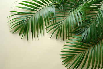 Fototapeta premium Green Palm Leaves Against Light Soft Background