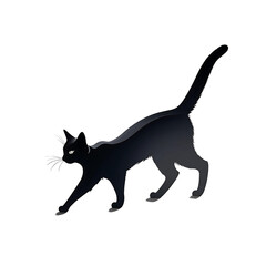 Fototapeta premium silhouette of a black cat walking
