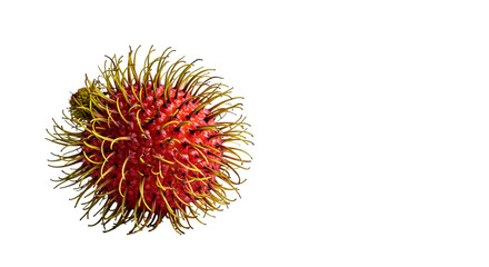 Rambutan Fruit Shows its Spiky Exterior, Presenting a Unique Tropical Food on Black