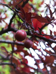 Looking at people and me.