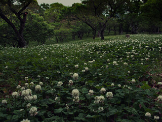 Looking at people and me.