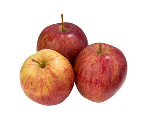 Red Yellow  Apples on  PNG Transparent  Background. Cut out Clipping Path With Adobe Photoshops Pen Tool.