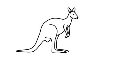 Fototapeta premium Line art kangaroo illustration