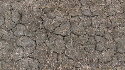 Dry Cracked Ground Showing Severe Water Scarcity