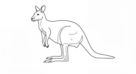 Fototapeta premium Line drawing of a kangaroo