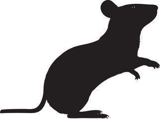Silhouette of a rat standing on its hind legs with a long tail on white background