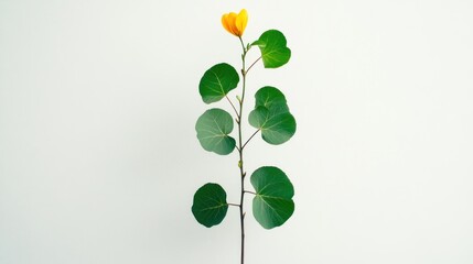 A vibrant plant reaching upward