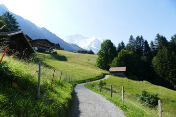 mountain landscape in the alps