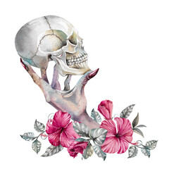 Scary witch hand holding human skull hand drawn watercolor illustration. Isolated on white horrible clipart of monster fingers with dark pink hibiscus flowers for terrifying, spooky halloween design