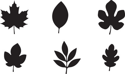 Six Black Leaf Silhouettes Assortment Vector