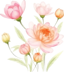 Delicate Watercolor Painting of Peach and Pink Blossoms