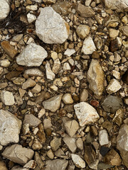Dry riverbed filled with rocks and pebbles creating a natural texture