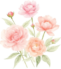 Fototapeta premium Watercolor Painting of Delicate Peach and Pink Peonies with Green Leaves