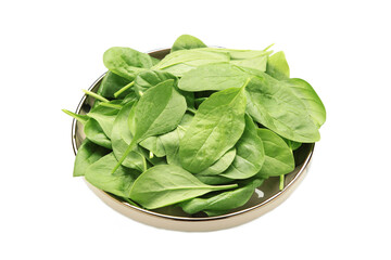 Spinach leaves with water drops in bowl isolated on white background.