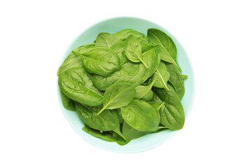 Spinach leaves with water drops in mint bowl isolated on white background.