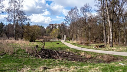 The Remains of a Once Beautiful Park After an Environmental Disaster